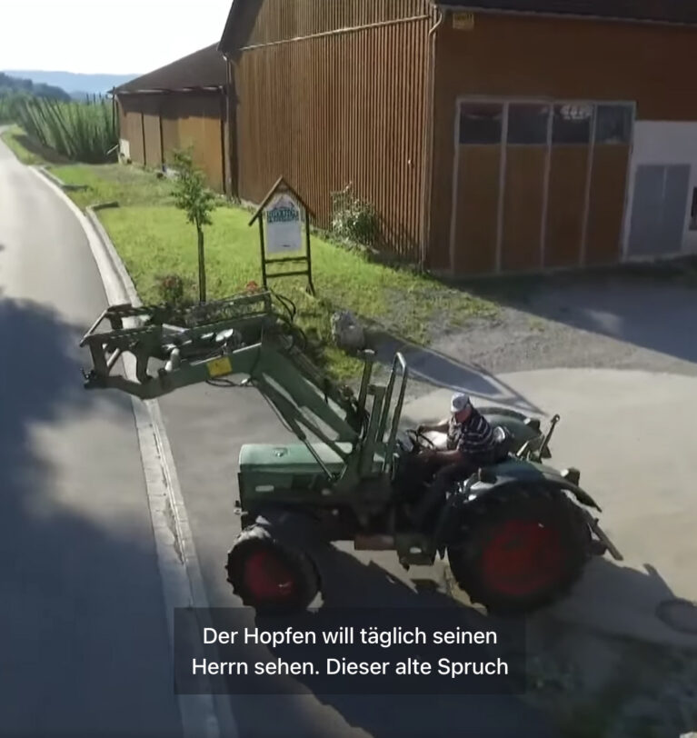 Bio-Hopfen mit Nützlingen statt Chemie