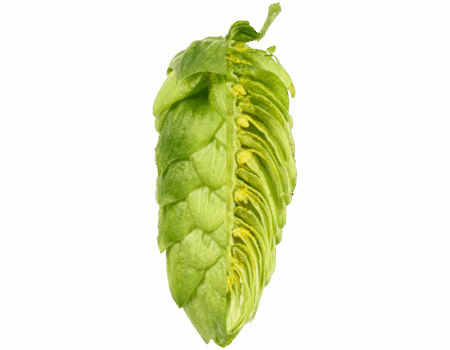 cascade.png