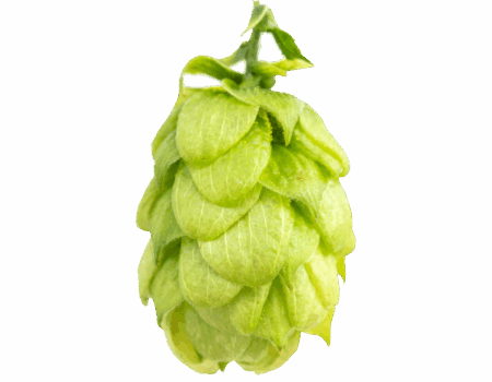 hersbrucker_pure.png