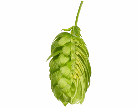 hersbrucker_spaet.png