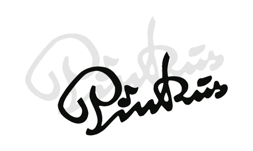 logo_pinkus.png