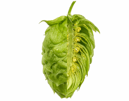 mandarina_bavaria.png